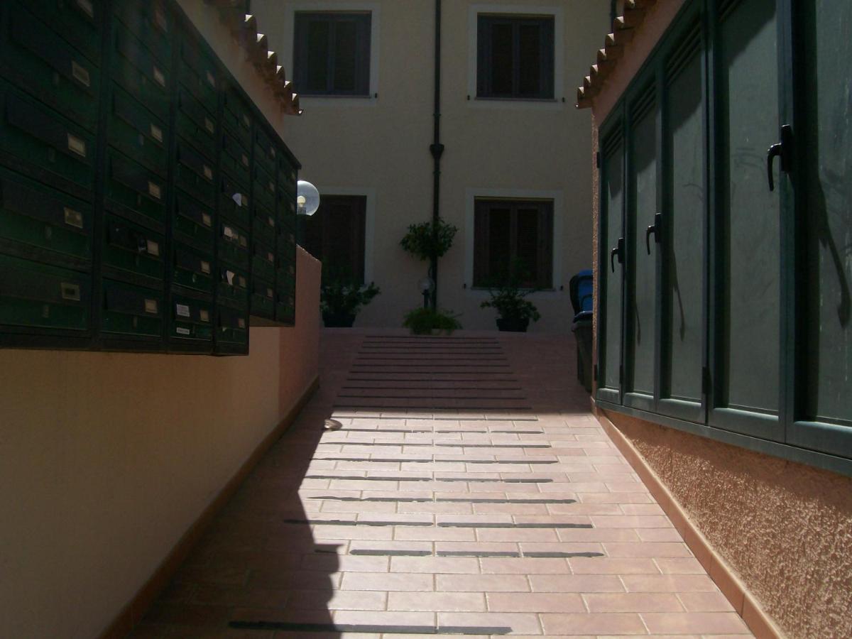 Ippocampo * Olbia